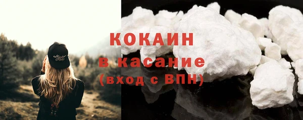 шишки Видное