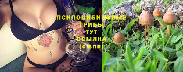 гидропоника Ветлуга