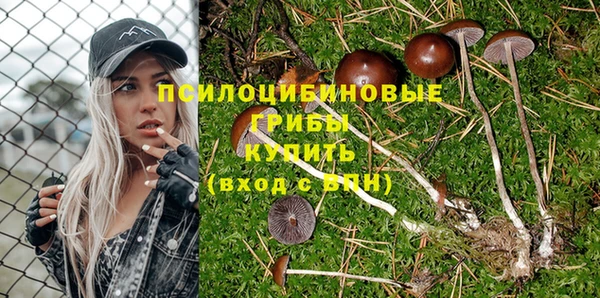 шишки Видное
