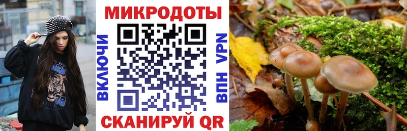 Галлюциногенные грибы GOLDEN TEACHER  мориарти наркотические препараты  Галич 